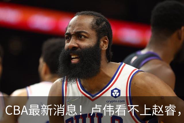 CBA最新消息！卢伟看不上赵睿，张镇麟转会费超5000万，林葳无缘国家队原因曝光